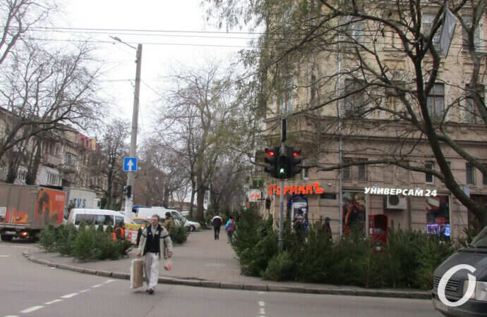 елочный базар у Нового рынка