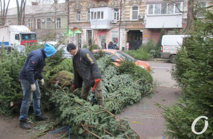 елочный базар, покупатель