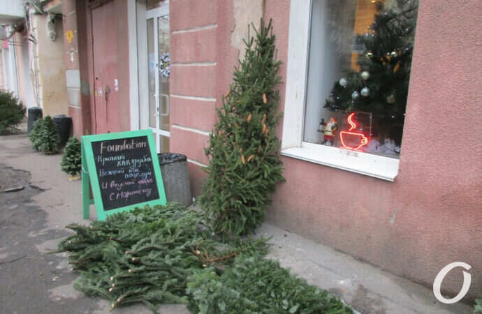 елочный базар, у окошка