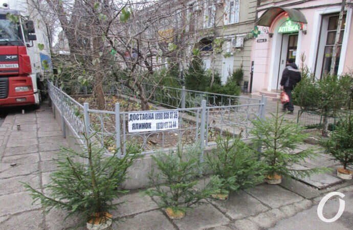 елочный базар, ограда