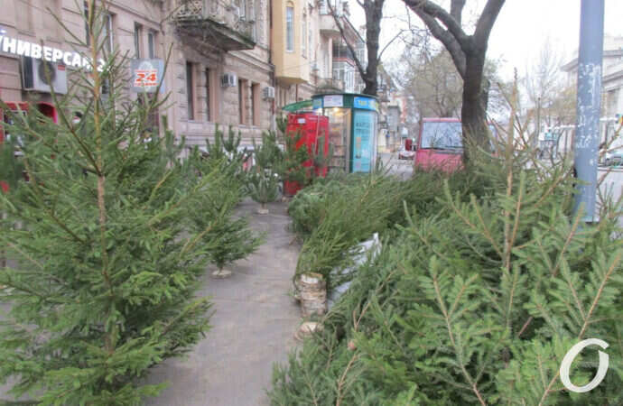 елочный базар в Одессе