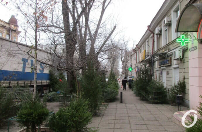 елочный базар, торговый ряд