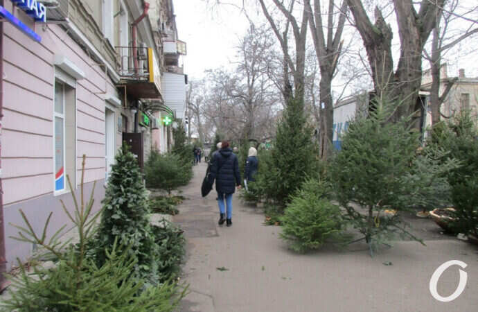 елочный базар, прохожий