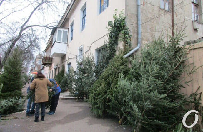 елочный базар, прохожие