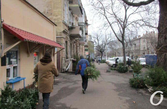 елочный базар, Новый рынок