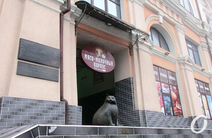 Новый базар, котик