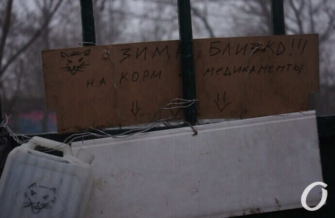 Одесские котики, сбор средств