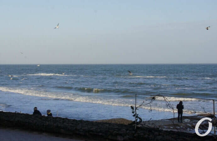 Зимнее море в Одессе