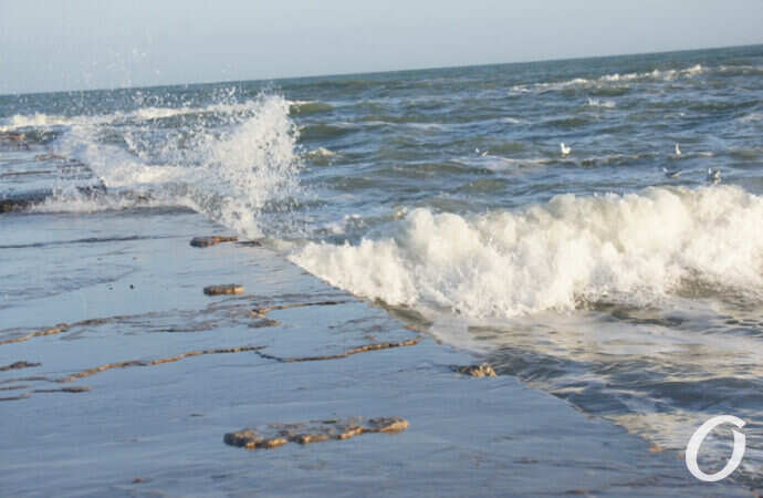 Зимнее море в Одессе, волна