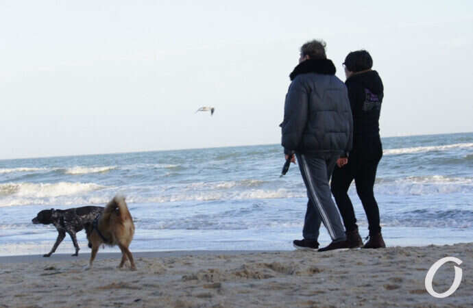 Зимнее море в Одессе, люди с собакой