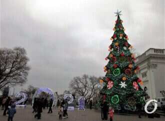 Скоро Новый год: как выглядят главные елки в разных городах Украины (фото)