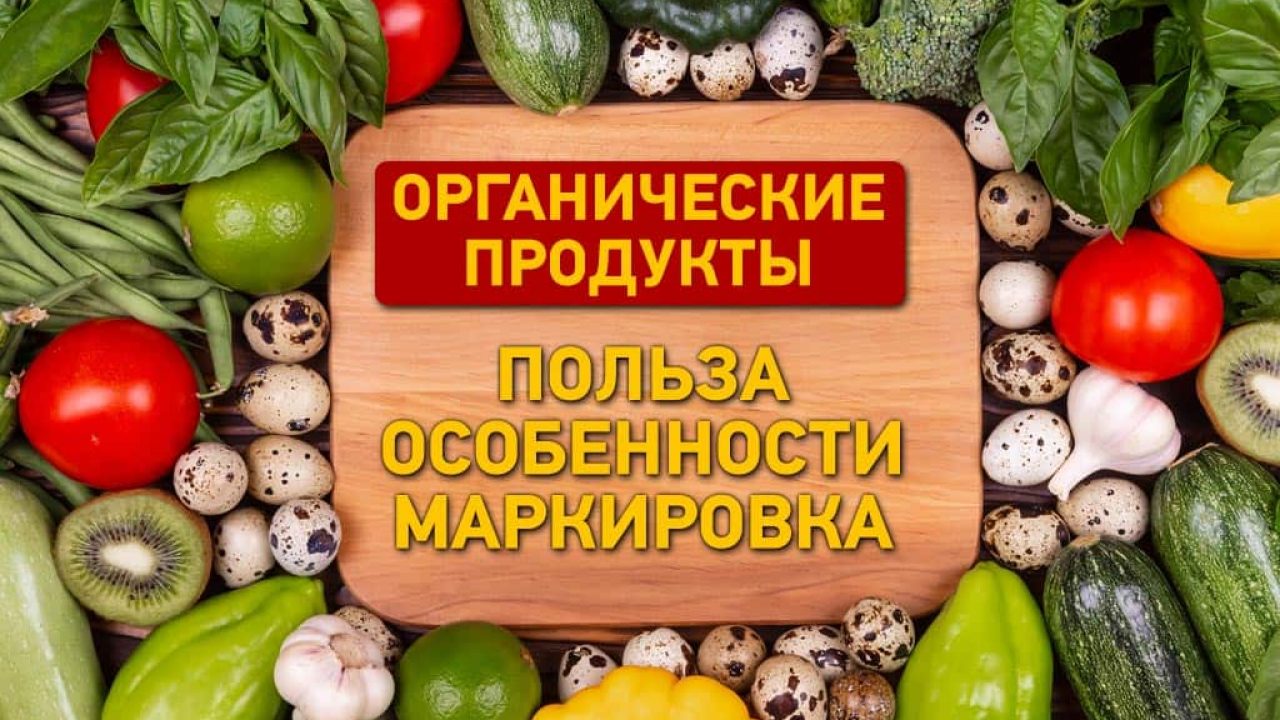 В чем польза и особенности органических продуктов - Одесская Жизнь