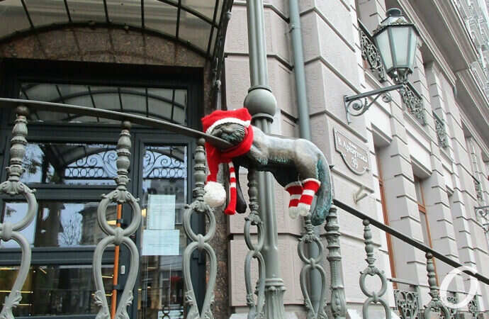 Одесса-1 января, котик