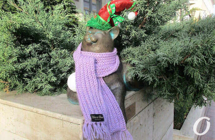 Одесса-1 января, кот в шарфе