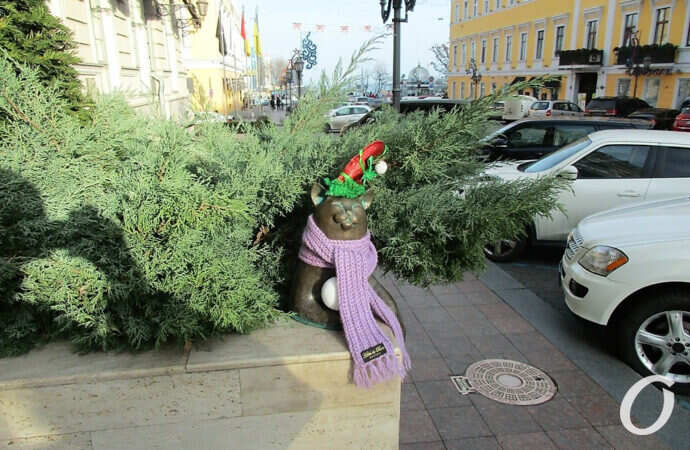 Одесса-1 января, кот