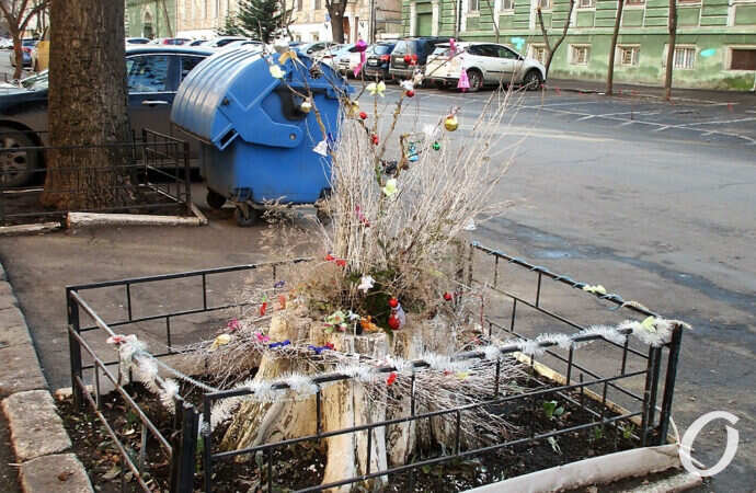 Одесса-1 января, деревце