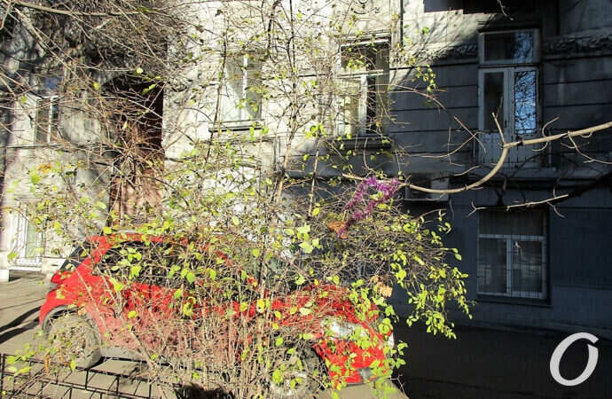 Одесса-1 января, дворик