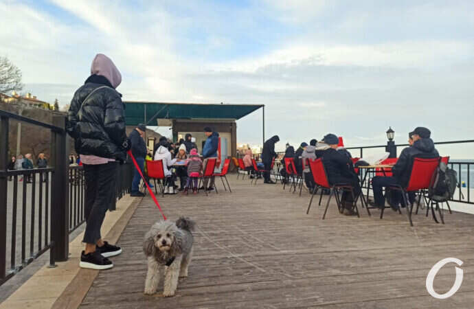 На побережье, собака