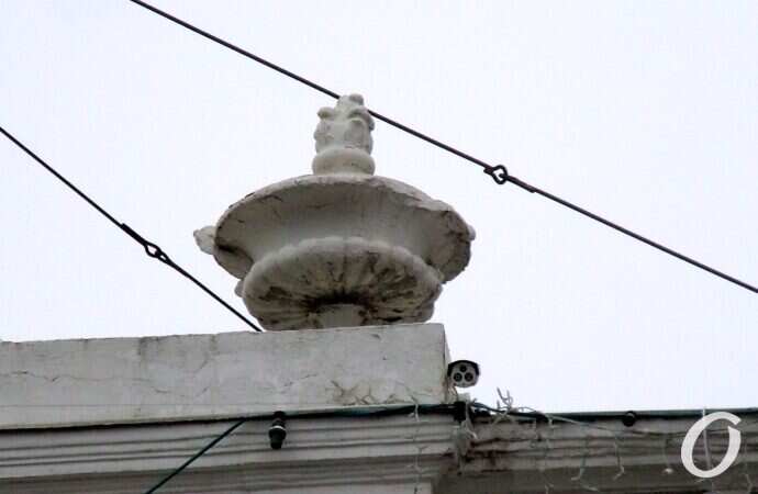 Вазон на крыше здания мэрии