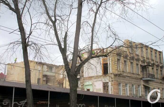 Дом на Торговой и дерево