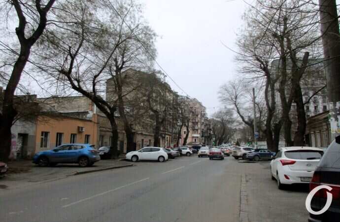 улица Осипова, дорога