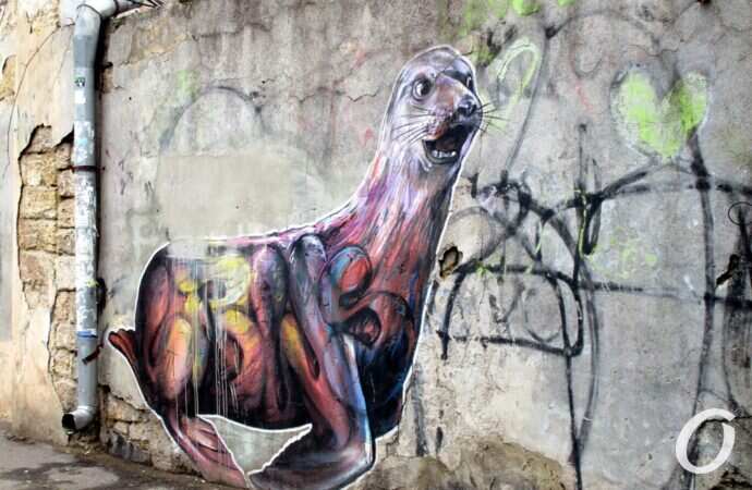 улица Осипова, граффити, котик