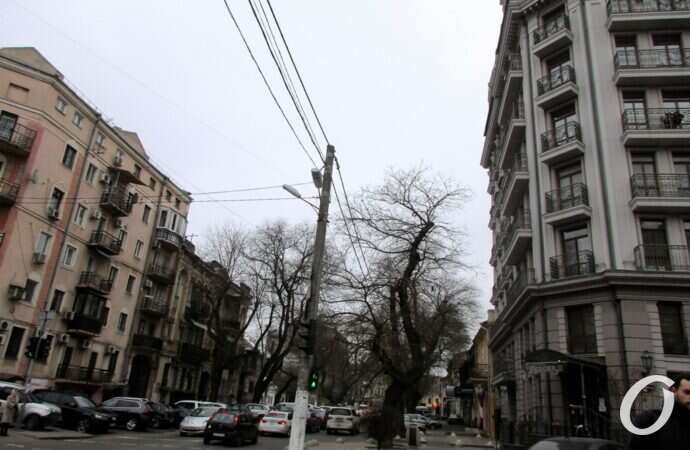 улица Осипова, столб