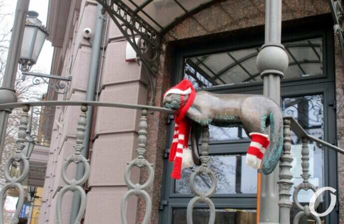 улица Осипова, кот Рыжик