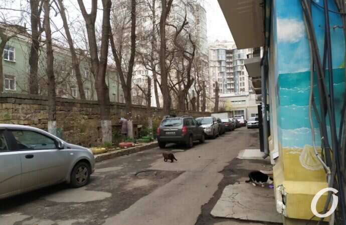 Конфликт на Черноморской, дорога. авто