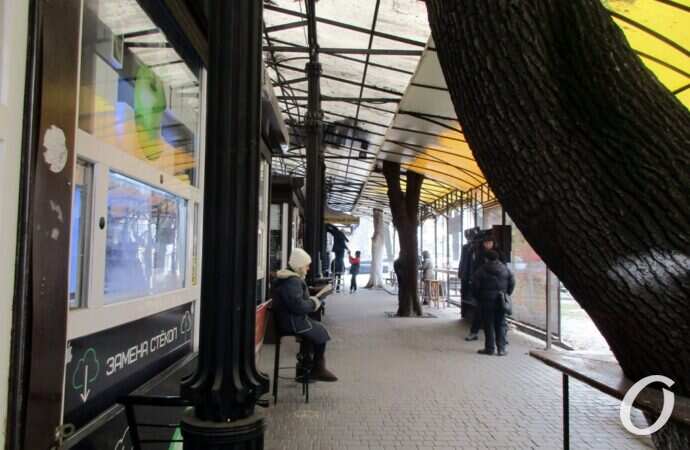 Книжка, дерево