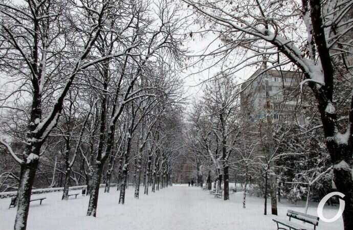 зима в центре Одессы, бульвар Жванецкого