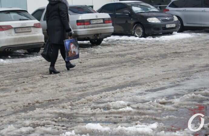 Очистка дорог, жензина с пакетом