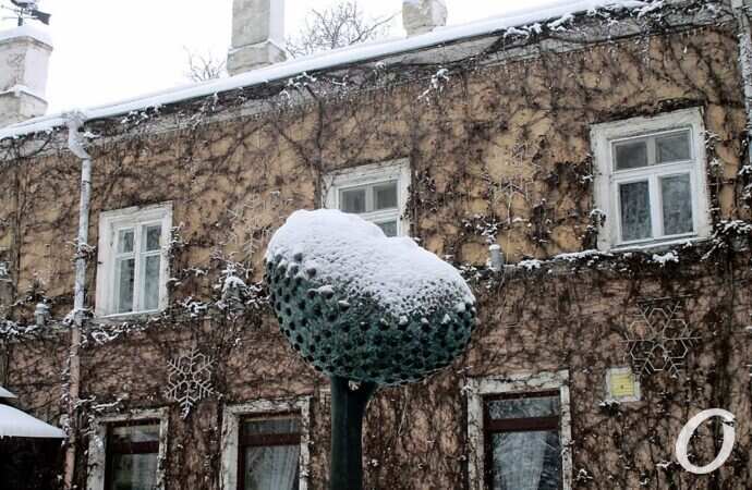 не узнать: дерево любви в Горсаду