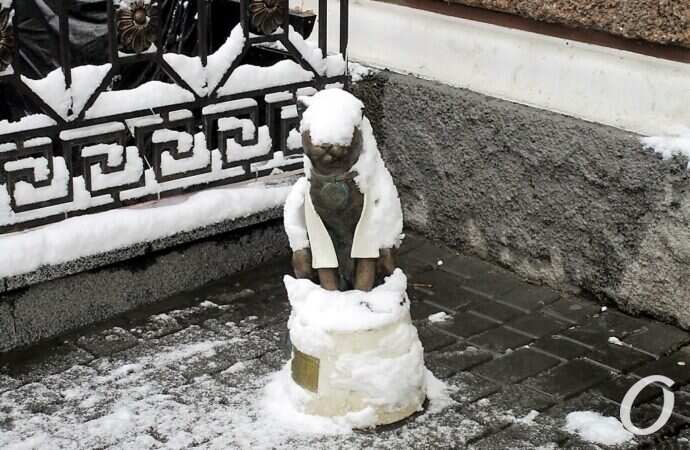 не узнать: кот-джентльмен