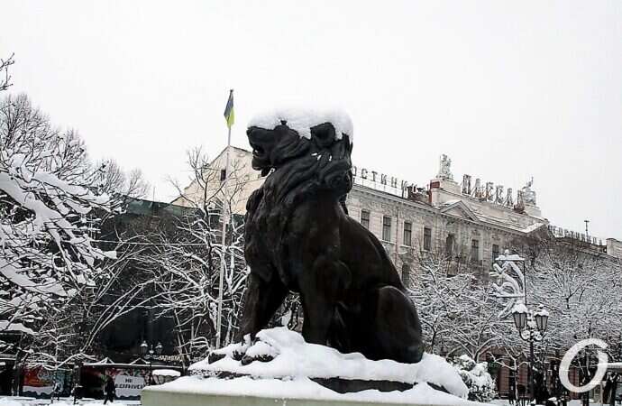 не узнать: лев