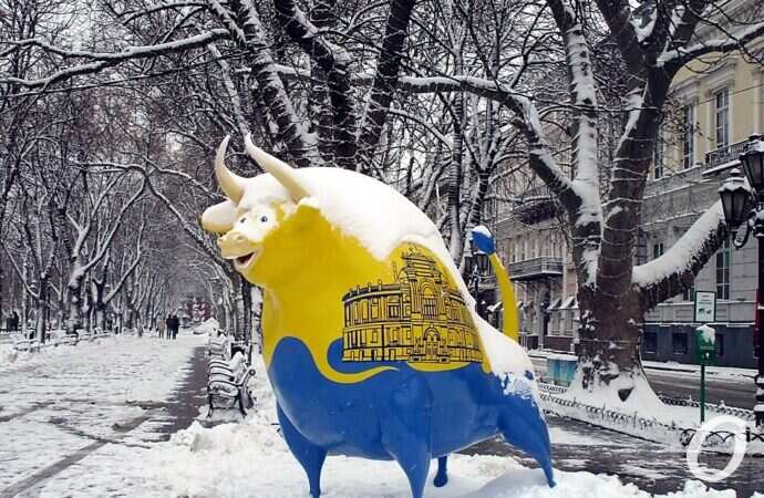 бык под снегом