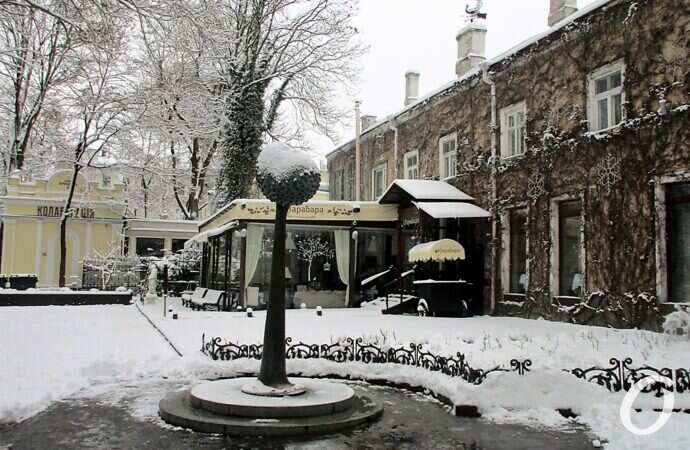 не узнать: дерево любви