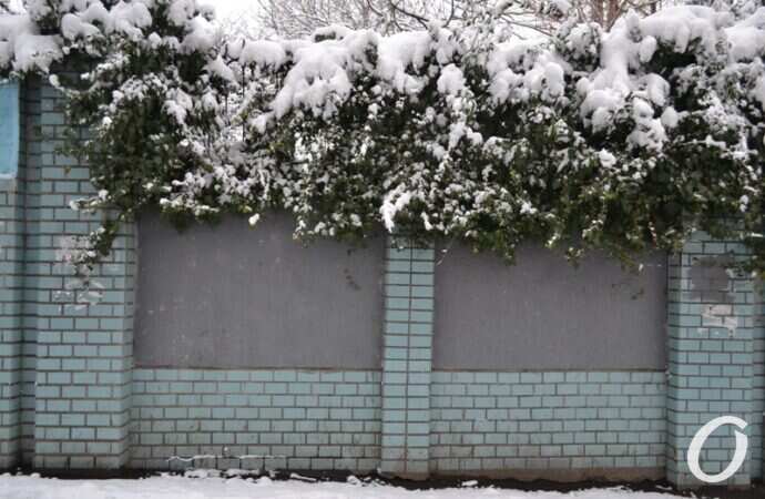 снег на Черемушках, забор