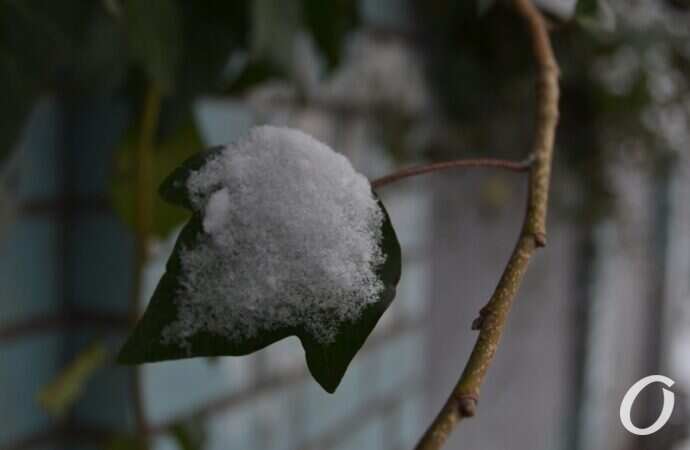 снег на Черемушках, листик