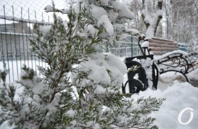 снег на Черемушках, парк
