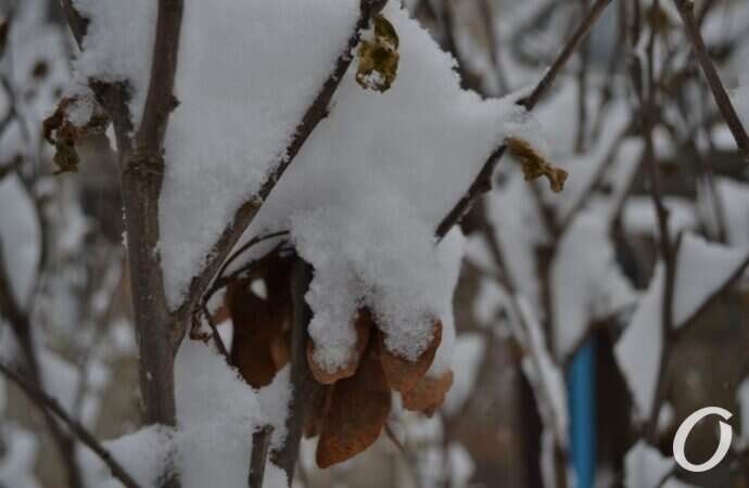 снег на Черемушках, лист