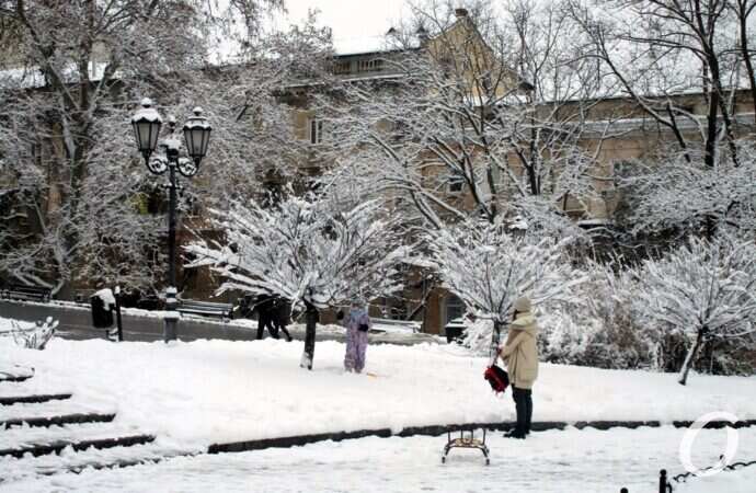 зима в центре Одессы,ь деревья