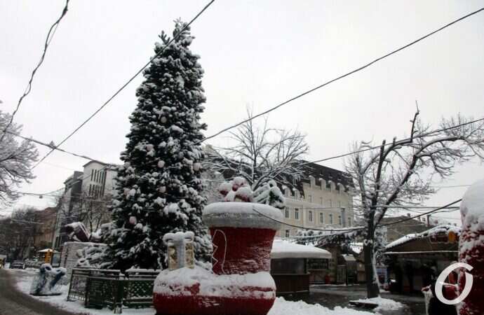 зима в центре Одессы, вторая главная елка