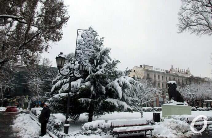 зима в центре Одессы, горсад