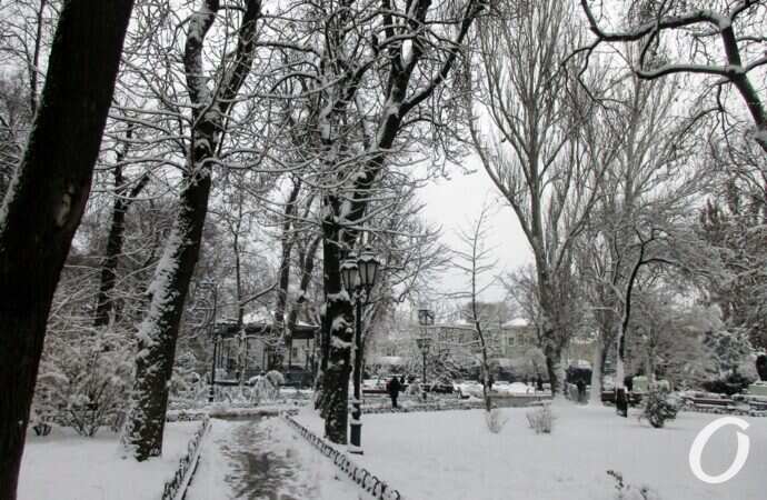 зима в центре Одессы, в горсаду