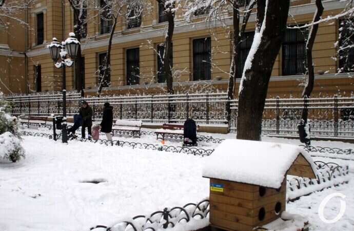 зима в центре Одессы, кошачий домик