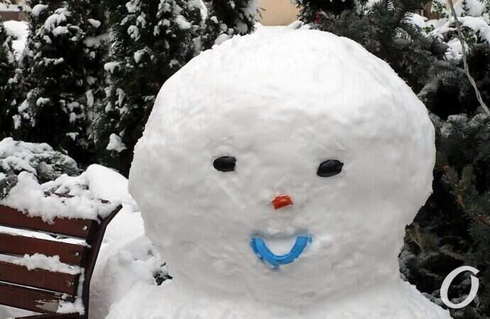 снеговик, портрет