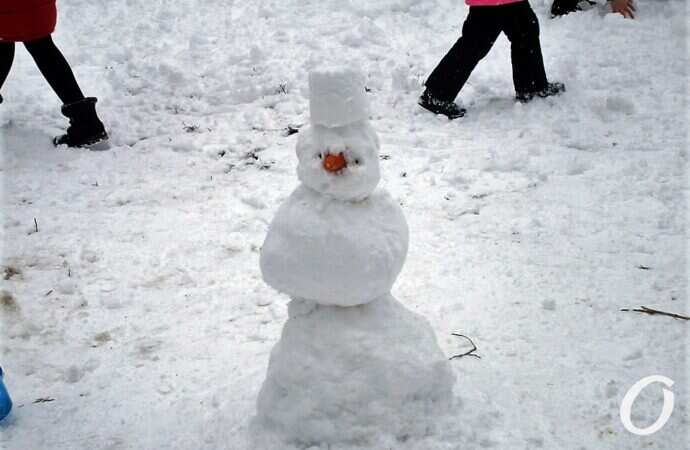 снеговик, с носом