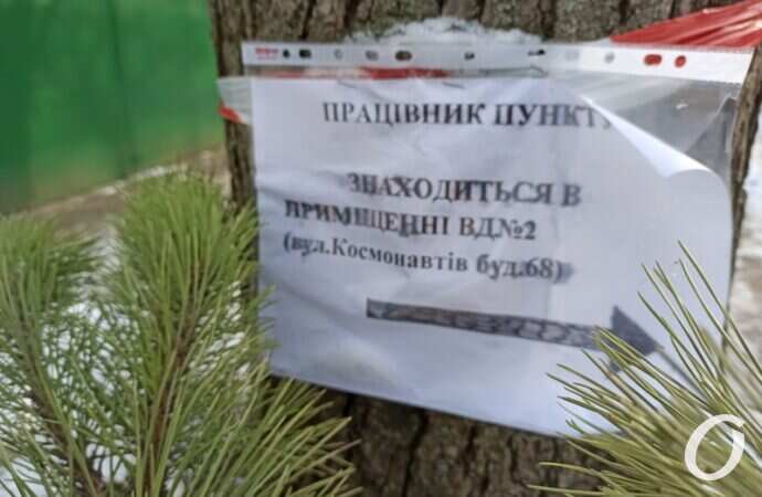 пункт приема елок, объявление