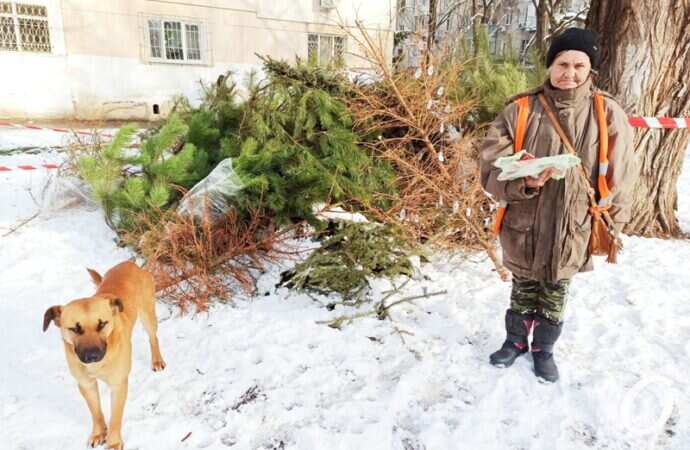 пункты елок, приемщица